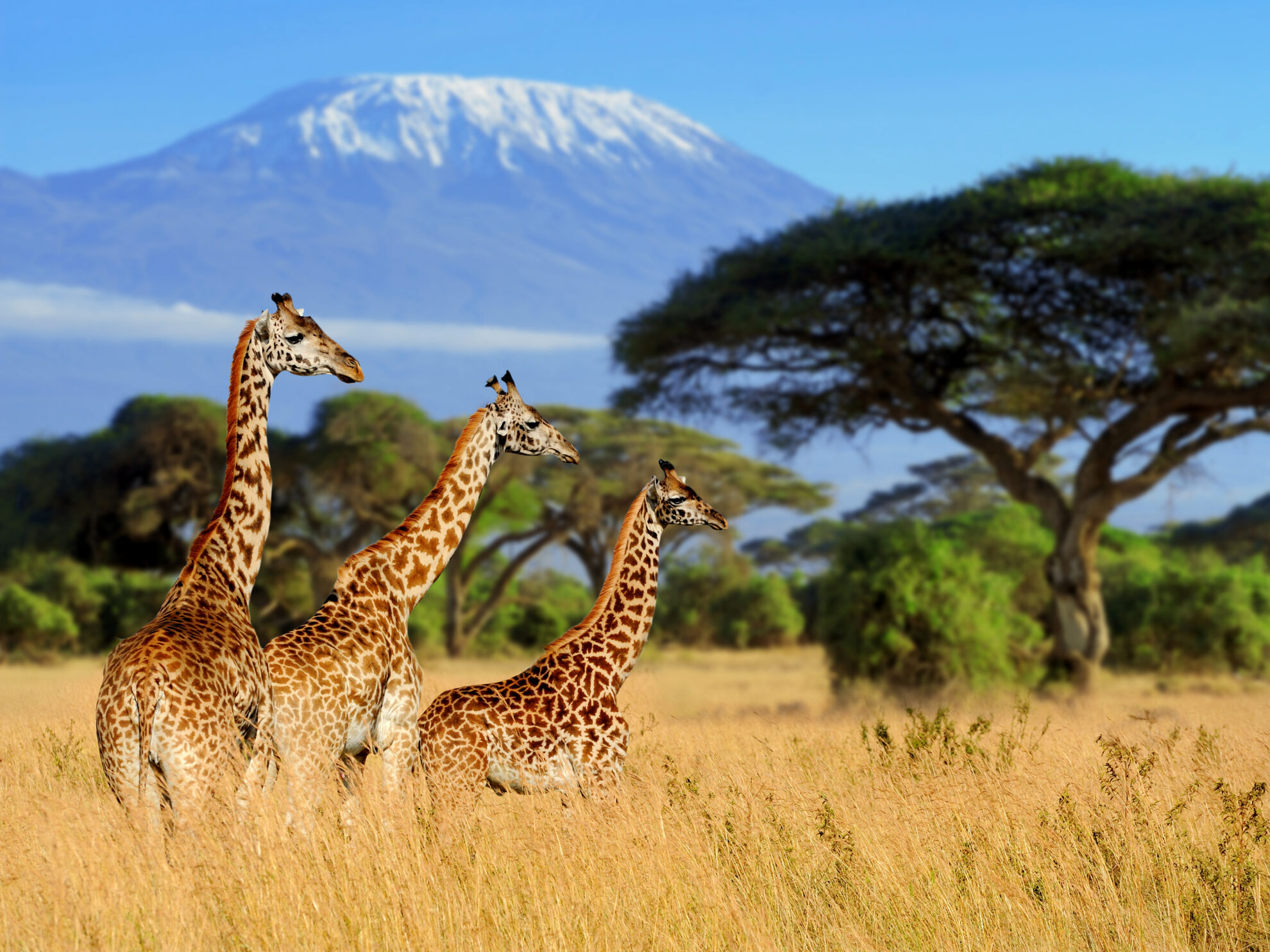 Kenia