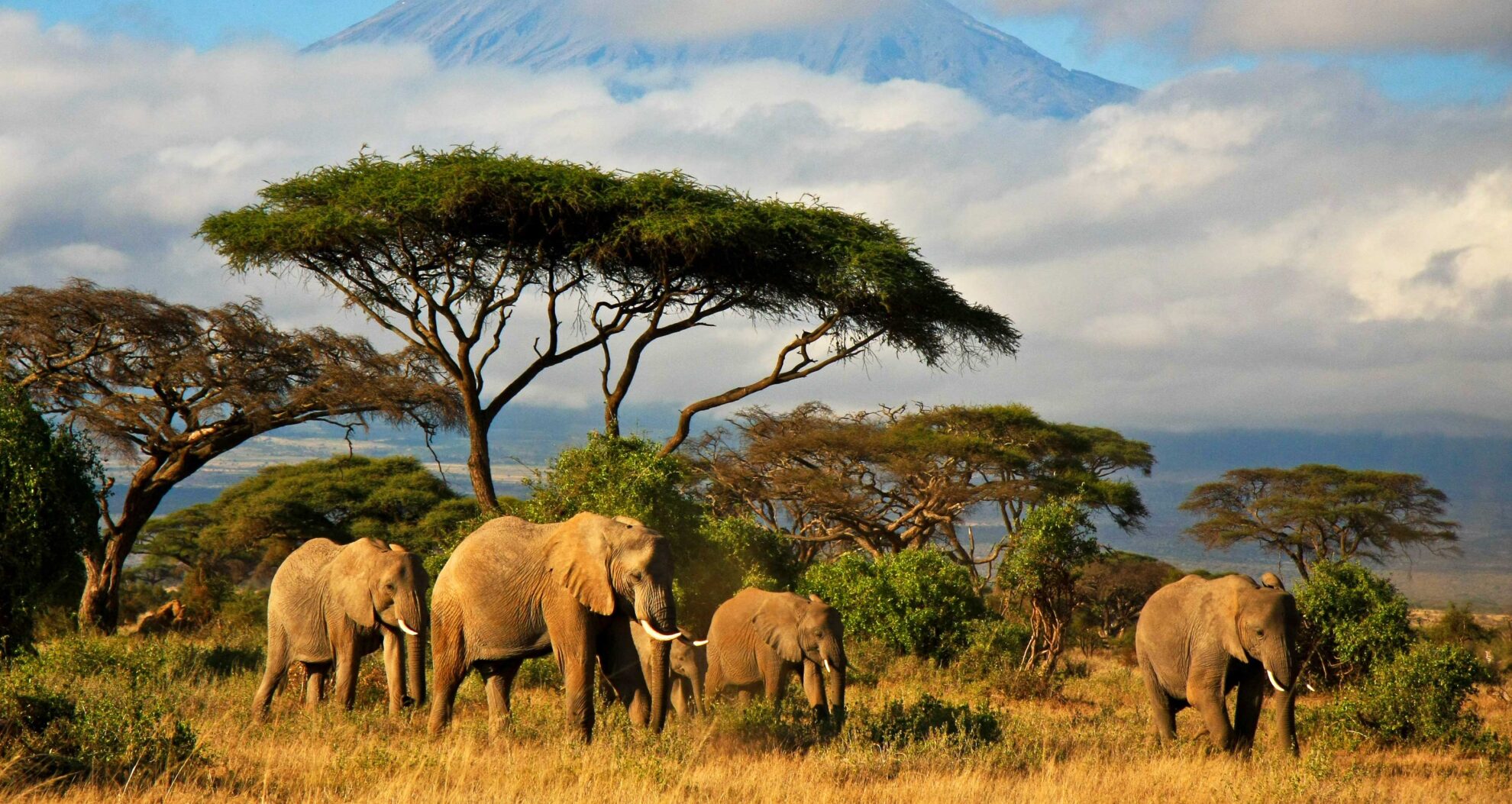 Afrika