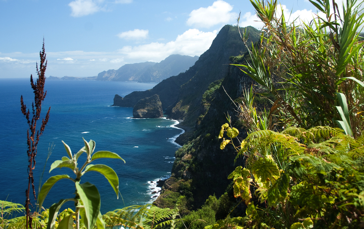 Küste von Madeira nahe Santana