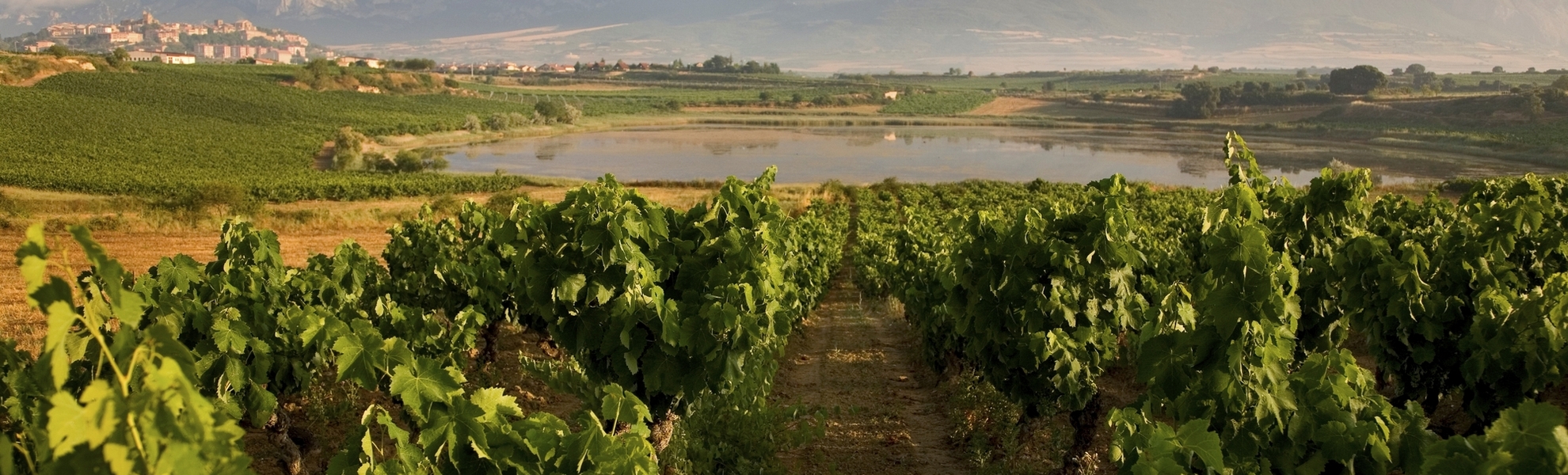 Laguardia - Rioja Alavesa