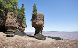 Hopewell Rocks auch Flowerpot Rocks, Bay of Fundy, New Brunswick, Kanada