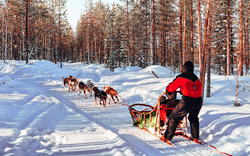 Husky-Tour