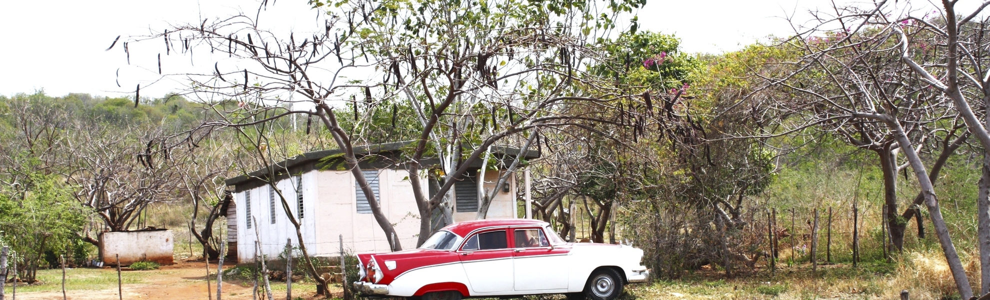 Kuba - Oldtimer vor Hütte
