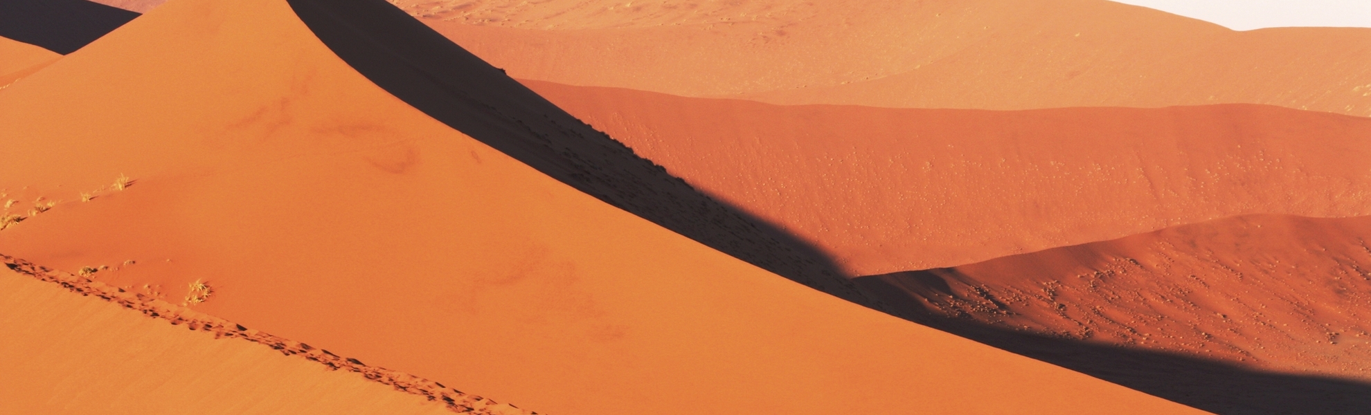 Dune Namib Naukluft