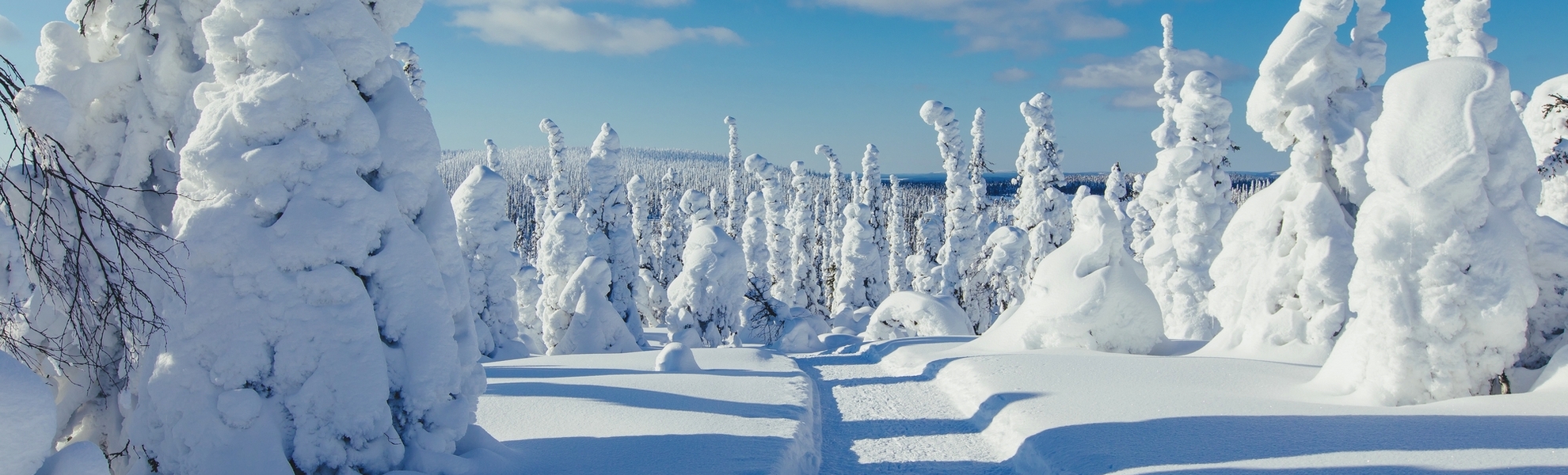 verschneite Winterlandschaft in Lappland